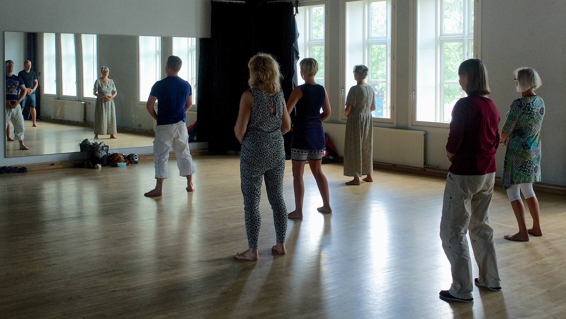wujigong-aarhus Wuji practice